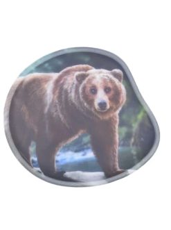Coupon ???? Schulranzen & -tüten Ergobag Kontur-Klettie Grizzly Bär Günstig Kaufen ✨ -Ergobag Shop ergobag kontur klettie grizzly bar 1