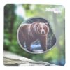 Coupon ???? Schulranzen & -tüten Ergobag Kontur-Klettie Grizzly Bär Günstig Kaufen ✨ 2 Coupon ???? Schulranzen & -tüten Ergobag Kontur-Klettie Grizzly Bär Günstig Kaufen ✨ -Ergobag Shop ergobag kontur klettie grizzly bar