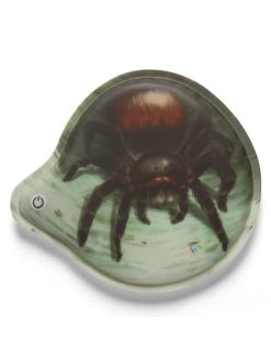 Brandneu ???? Schulranzen & -tüten Ergobag LED-Klettie Spinne Günstig Kaufen ????