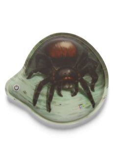 Bestpreis ???? Weiteres Büro- & Schulzubehör Ergobag Zubehör Klettie - LED "Blinkie" In Spinne Günstig Kaufen ????