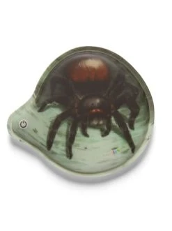 Bestpreis 🛒 Weiteres Büro- & Schulzubehör Ergobag Zubehör Klettie - LED "Blinkie" In Spinne Günstig Kaufen 🧨