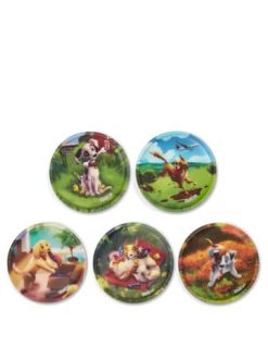 Am billigsten ???? Weiteres Büro- & Schulzubehör Ergobag Zubehör Klettie - Set 5 Tlg. Matt In Hundewelpen Günstig Kaufen ????